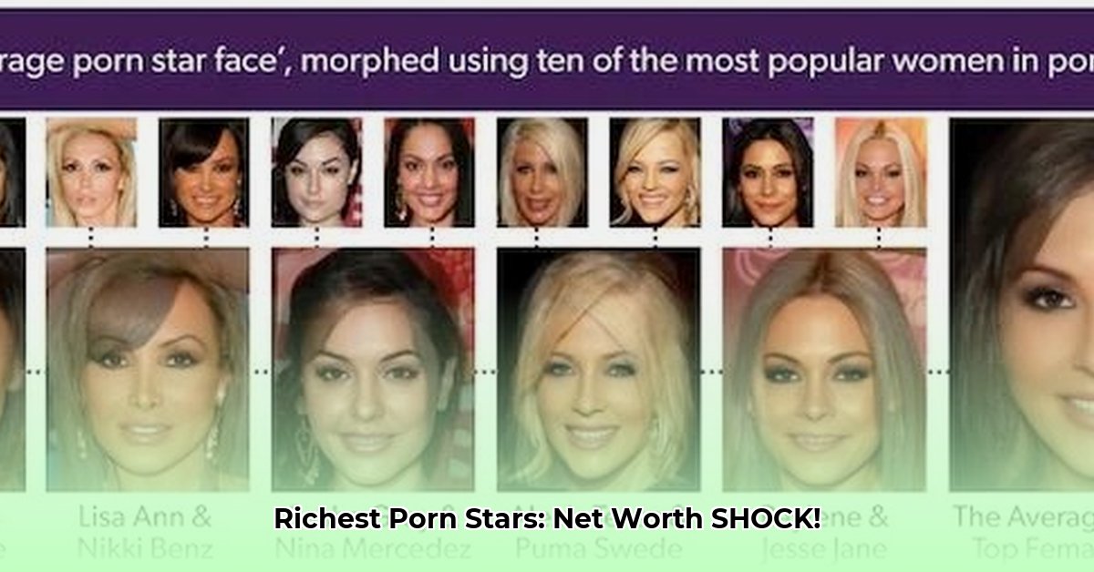 richest-pron-star